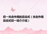 初一光合作用的反应式（光合作用反应式初一简介介绍）