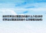 迷你世界没过期激活码是什么介绍(迷你世界没过期激活码是什么详细情况如何)