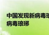 24小时快讯更新 中国发现新病毒琅琊需要担心吗 人畜传播新病毒琅琊