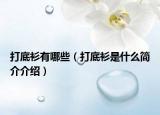 打底衫有哪些（打底衫是什么简介介绍）
