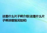 这是什么片子啊介绍(这是什么片子啊详细情况如何)