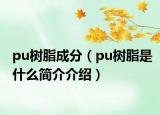 pu树脂成分（pu树脂是什么简介介绍）