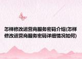 怎样修改运营商服务密码介绍(怎样修改运营商服务密码详细情况如何)