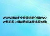 WOW怒焰多少级能进啊介绍(WOW怒焰多少级能进啊详细情况如何)