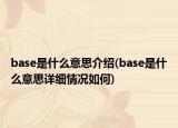 base是什么意思介绍(base是什么意思详细情况如何)