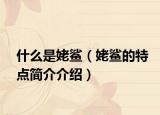 什么是姥鲨（姥鲨的特点简介介绍）