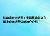 移动咋查询话费（安徽移动怎么在网上查询话费详单简介介绍）