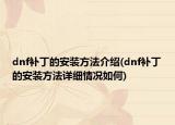 dnf补丁的安装方法介绍(dnf补丁的安装方法详细情况如何)