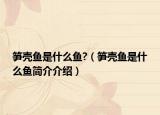 笋壳鱼是什么鱼?（笋壳鱼是什么鱼简介介绍）