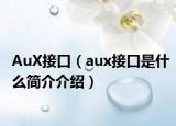 AuX接口（aux接口是什么简介介绍）