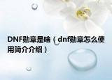DNF勋章是啥（dnf勋章怎么使用简介介绍）