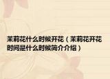茉莉花什么时候开花（茉莉花开花时间是什么时候简介介绍）
