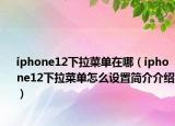iphone12下拉菜单在哪（iphone12下拉菜单怎么设置简介介绍）