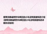 香蕉赛跑毒刺炸车疯狂的小鸟滚鸡蛋谁知道介绍(香蕉赛跑毒刺炸车疯狂的小鸟滚鸡蛋谁知道详细情况如何)