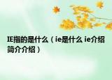 IE指的是什么（ie是什么 ie介绍简介介绍）
