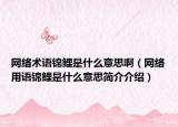 网络术语锦鲤是什么意思啊（网络用语锦鲤是什么意思简介介绍）