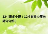 12寸是多少厘（12寸有多少厘米简介介绍）