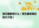 管乐器都有什么（管乐器有哪些简介介绍）