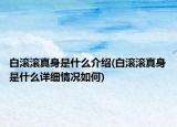 白滚滚真身是什么介绍(白滚滚真身是什么详细情况如何)