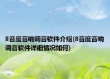 8音度音响调音软件介绍(8音度音响调音软件详细情况如何)