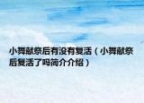小舞献祭后有没有复活（小舞献祭后复活了吗简介介绍）