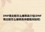 DNF领主粉怎么爆率高介绍(DNF领主粉怎么爆率高详细情况如何)