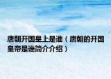 唐朝开国皇上是谁（唐朝的开国皇帝是谁简介介绍）