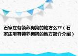 石家庄有领养狗狗的地方么??（石家庄哪有领养狗狗的地方简介介绍）