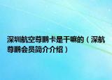 深圳航空尊鹏卡是干嘛的（深航尊鹏会员简介介绍）