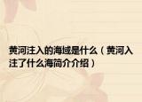 黄河注入的海域是什么（黄河入注了什么海简介介绍）