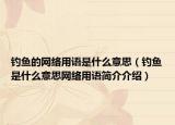 钓鱼的网络用语是什么意思（钓鱼是什么意思网络用语简介介绍）