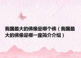 我国最大的佛像是哪个佛（我国最大的佛像是哪一座简介介绍）