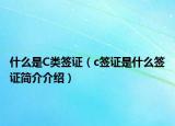 什么是C类签证（c签证是什么签证简介介绍）