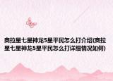 奥拉星七星神龙5星平民怎么打介绍(奥拉星七星神龙5星平民怎么打详细情况如何)