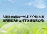 东哥洛克辅助为什么打不介绍(东哥洛克辅助为什么打不详细情况如何)