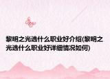 黎明之光选什么职业好介绍(黎明之光选什么职业好详细情况如何)