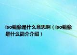 iso镜像是什么意思啊（iso镜像是什么简介介绍）