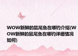 WOW新鲜的鼠尾鱼在哪钓介绍(WOW新鲜的鼠尾鱼在哪钓详细情况如何)