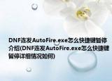 DNF连发AutoFire.exe怎么快捷键暂停介绍(DNF连发AutoFire.exe怎么快捷键暂停详细情况如何)