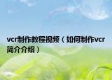 vcr制作教程视频（如何制作vcr简介介绍）