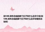 和VAE,阿布合唱的那个影子叫什么名字介绍(和VAE,阿布合唱的那个影子叫什么名字详细情况如何)