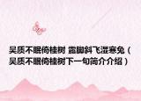 吴质不眠倚桂树 露脚斜飞湿寒兔（吴质不眠倚桂树下一句简介介绍）