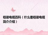 铠装电缆百科（什么是铠装电缆简介介绍）