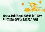 双wan路由器怎么设置路由（双WAN口路由器怎么设置简介介绍）