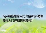 Fgo萌新如何入门介绍(Fgo萌新如何入门详细情况如何)