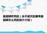 赛貂蝉咋死的（永不磨灭的蕃号赛貂蝉怎么死的简介介绍）