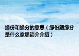 缘份和缘分的意思（缘份跟缘分是什么意思简介介绍）