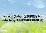 fantastic(baby什么意思介绍 fantastic baby什么意思详细情况如何)