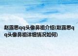 赵露思qq头像鼻祖介绍(赵露思qq头像鼻祖详细情况如何)