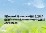评价remark和comment有什么区别介绍(评价remark和comment有什么区别详细情况如何)